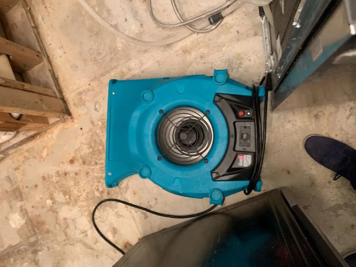 Air mover drying equipment for Mold Remediation & Removal in Westminster