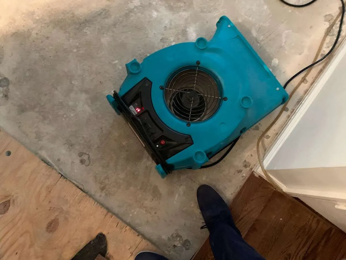 Air mover drying subfloor during Commercial Water Damage Restoration in Westminster